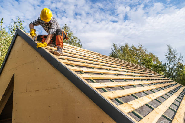 Best Commercial Roofing Services  in Doney Park, AZ