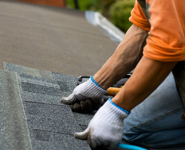 Best Metal Roofing Contractor  in Doney Park, AZ